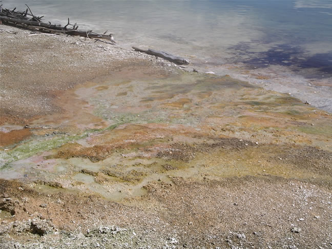 images/F- West Thumb Geyser Basin (14).jpg